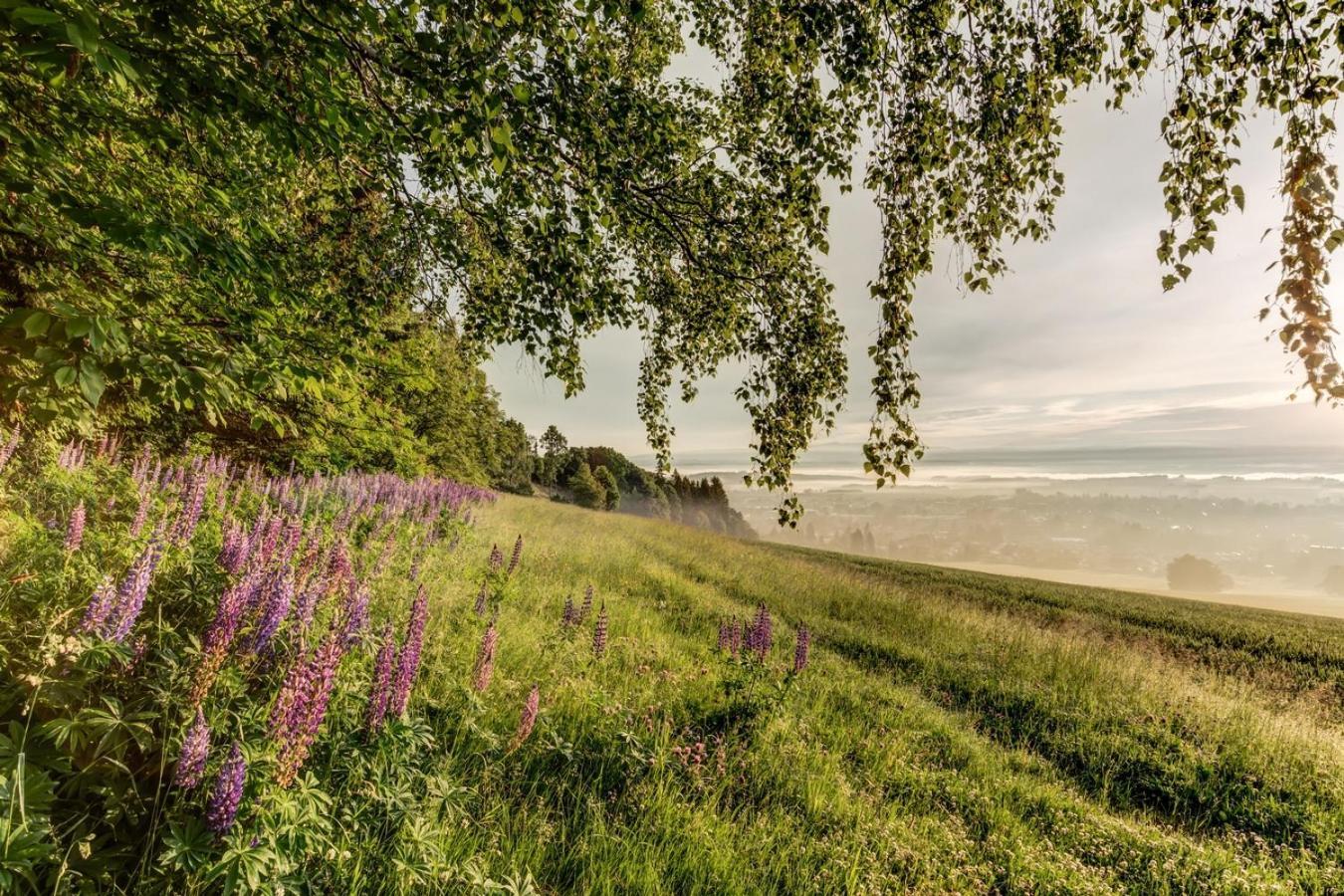 Wellness Apartmany Cesky Raj & Biokolna Lomnice nad Popelkou Bagian luar foto