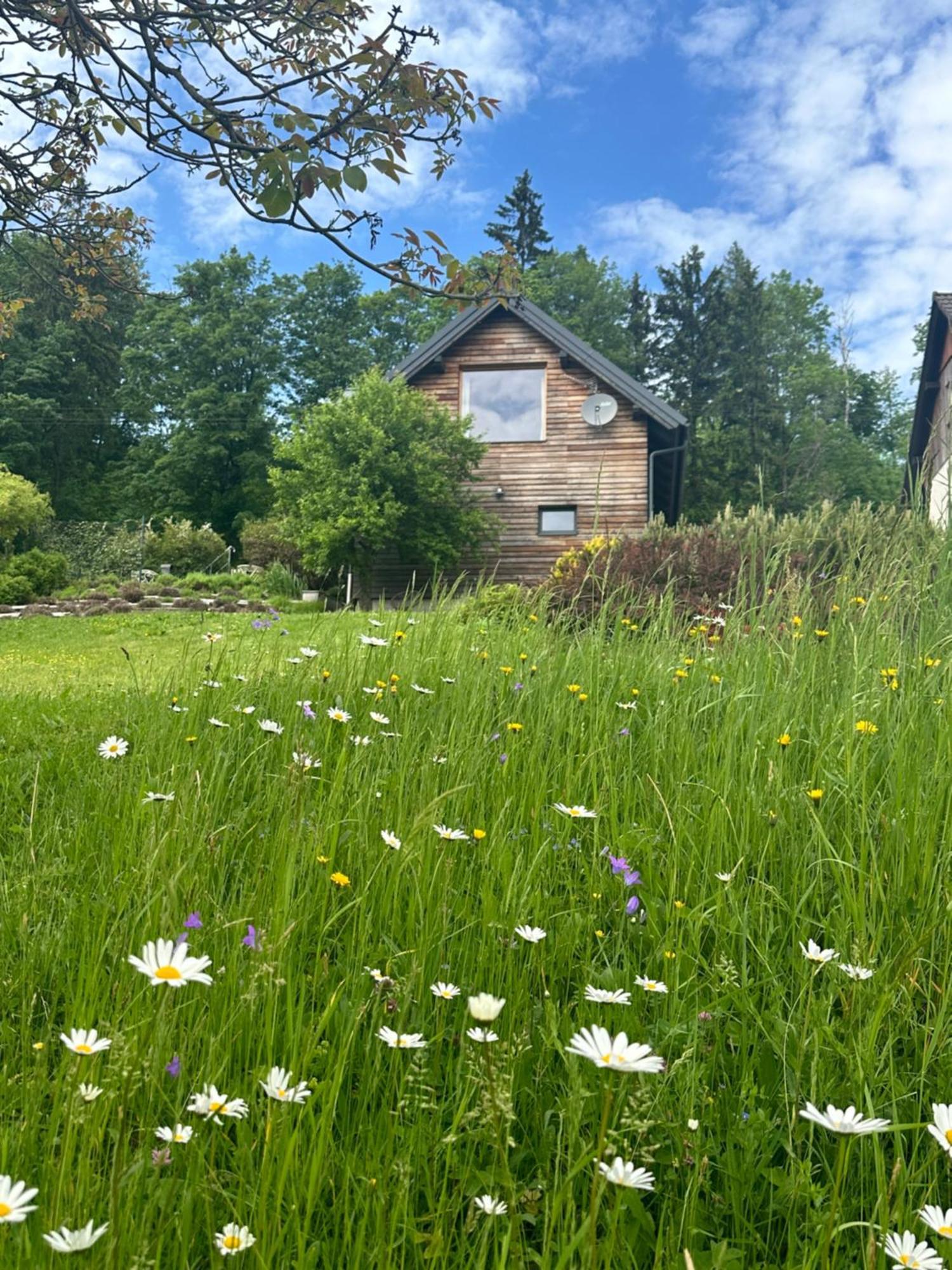 Wellness Apartmany Cesky Raj & Biokolna Lomnice nad Popelkou Bagian luar foto